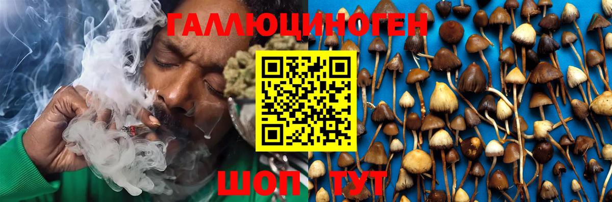 Углич  Псилоцибиновые грибы MAGIC MUSHROOMS  Вход с VPN  Галлюциногенные грибы прущие грибы 